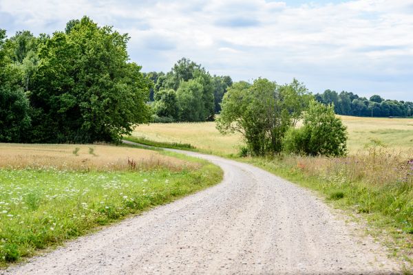 Cost of Stone Driveway Repair in Zephyrhills