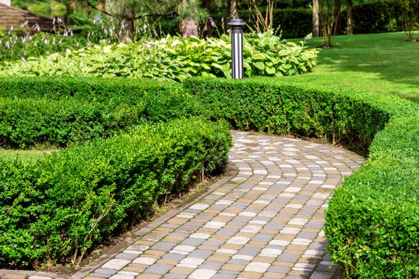 Cost of Paved Landscaping in Zephyrhills