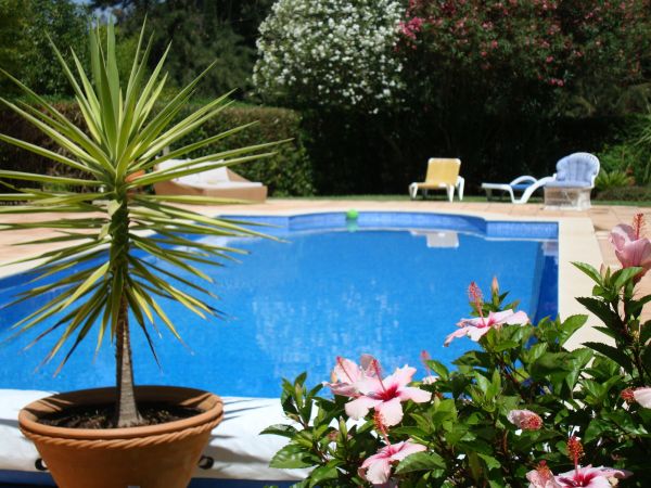 Cost of Pool Terrace Renovation in Zephyrhills