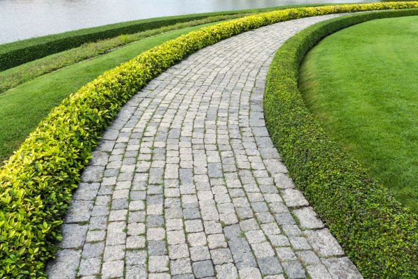 Cost of Sidewalk Pavers Installation in Zephyrhills