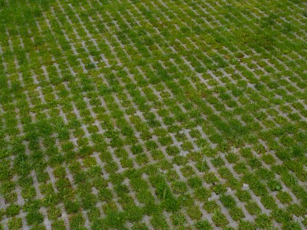 Cost of Permeable Pavement Service in Zephyrhills