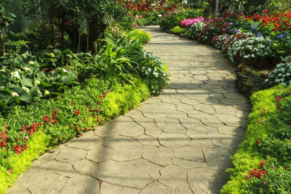 Cost of Stone Pathway Service in Zephyrhills