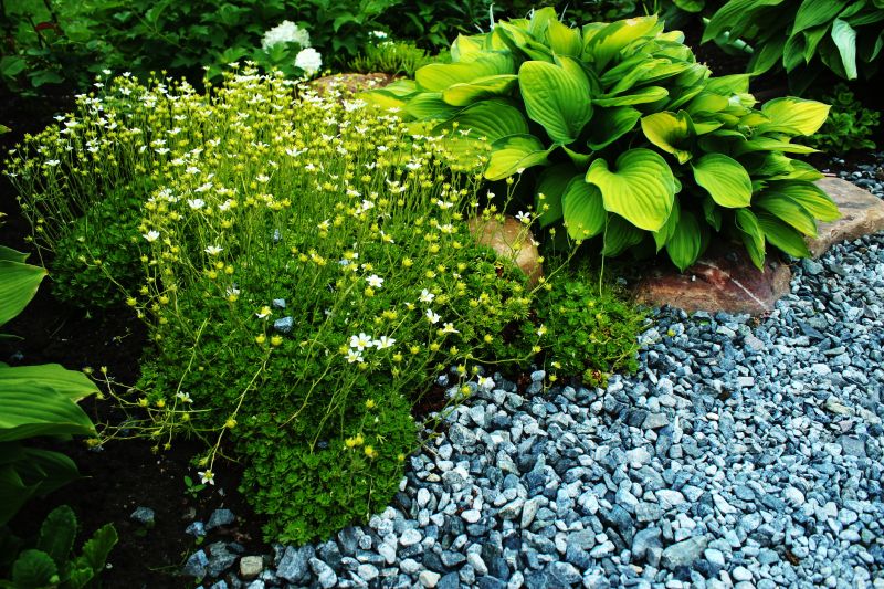 Backyard Hardscaping