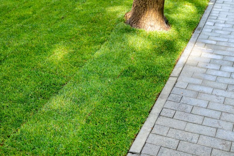 Entryway Paving