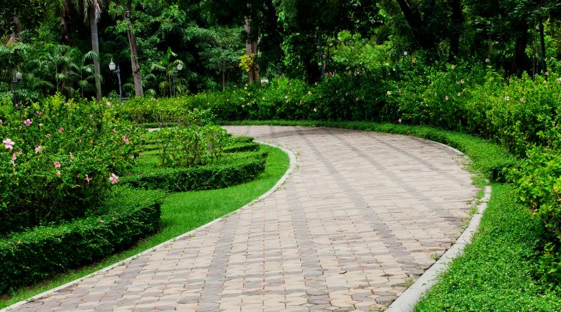 Paver Walkway Repair detail