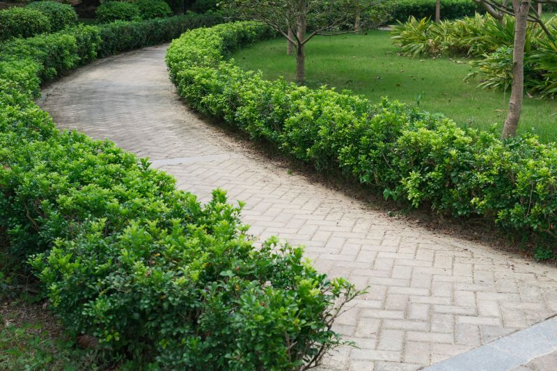 Garden Pavers Installation