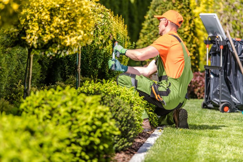 Hardscaping Service