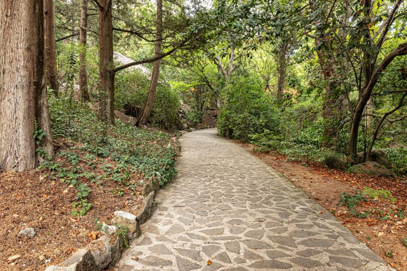 Paver Walkway Service